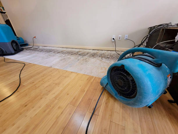 Professional Ceiling Water Damage Repair technician working in Richfield, WI